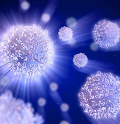 Does Cancer Increase Your White Blood Cell Count