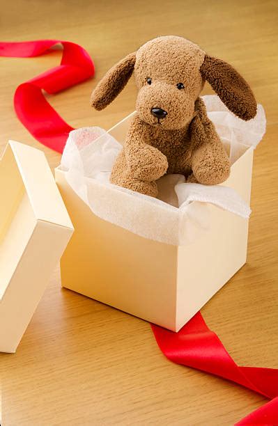 Best Unwrapped Toys Stock Photos Pictures And Royalty Free Images Istock
