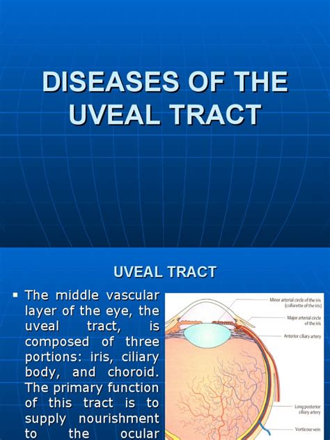 Diseases Of The Uveal Tract 09