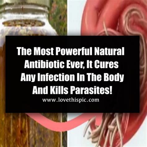 The Most Powerful Natural Antibiotic Ever It Cures Any Infection In