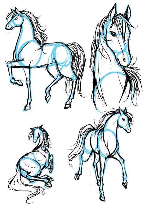 How To Draw Anime Horses Step 10 Anime Horse Anime Drawings Drawings