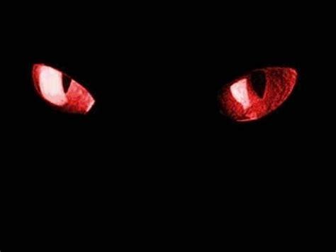 Black Cat Red Eyes Wallpaper Felines Pinterest Black Cats Red