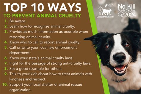 Top 181 How To Protect Animals From Cruelty
