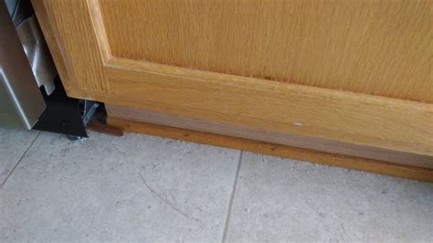 One thing that you should bear in mind is that baking soda cannot get shot with fleas when it is used on its own. How to Get Rid of Ants Naturally: Try These Home Remedies