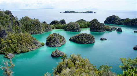 A Guide To Raja Ampat The Secret Indonesian Diving Paradise