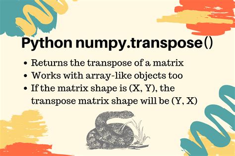 Numpy Matrix Transpose Transpose Of An Array In Python Digitalocean