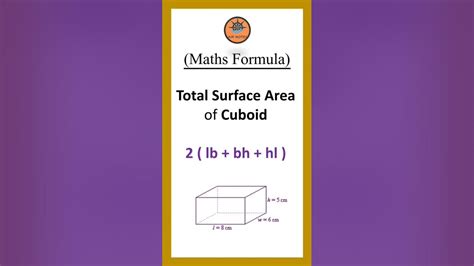 Total Surface Area Of Cuboid Maths Formula Youtube