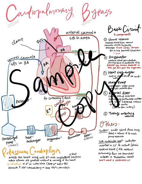 Anesthesia For Cardiopulmonary Bypass A Basic Guide Etsy