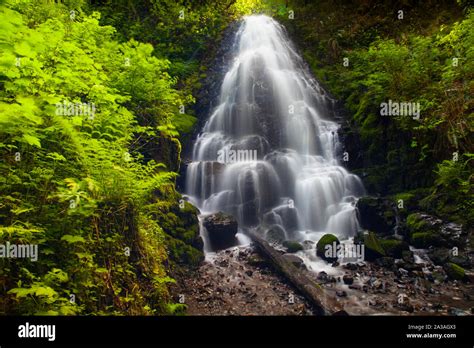 Fairy Falls Columbia River Gorge Oregon Usa Stock Photo Alamy