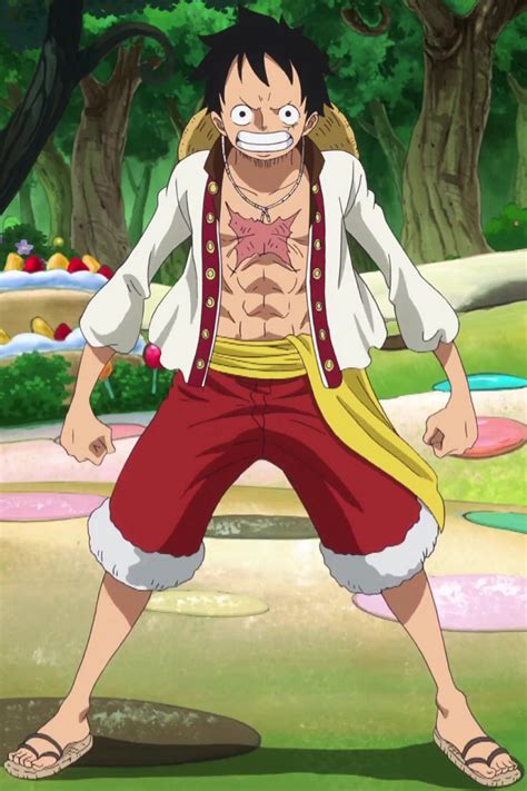 Image Luffy Whole Cake Island Arc Outfitpng One Piece Wiki