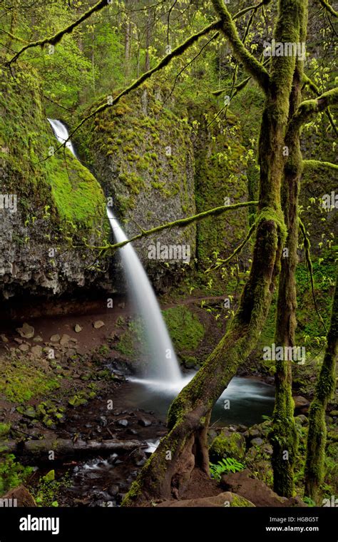 Waterfall Moss Green Falls Hi Res Stock Photography And Images Alamy