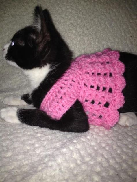 Cat Sweater Crochet Pattern Cat Clothes Pattern Crochet Angora Cats