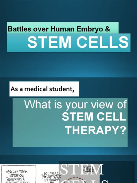 Human Embryo And Stem Cell Debate Pdf Stem Cell Coronary Artery Disease