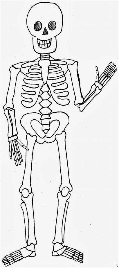 Halloween Truth Catholic Finding Repost Skeleton Coloring