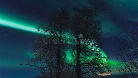 Polar Arctic Northern Lights Aurora Borealis Sky Star In