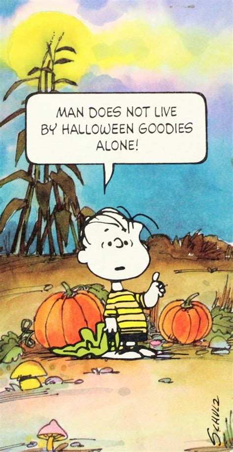 77 Best Images About Charlie Brown Halloween On Pinterest