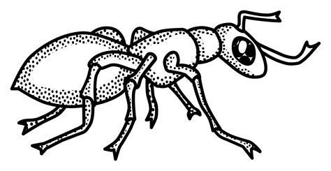Ant Black And White Ant Clipart Outline Collection Wikiclipart