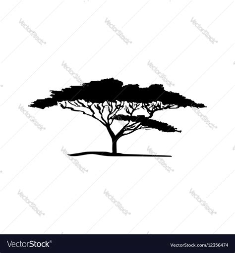 Silhouette Of Acacia Tree Royalty Free Vector Image