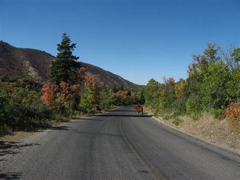 Best Time For Mount Nebo Scenic Byway Nebo Loop In Utah 2021