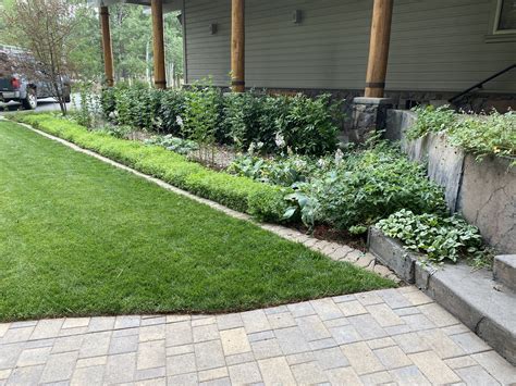 Gallery — Great Outdoors Landscaping 530-414-4526