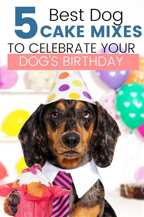 5 Best Dogs Birthday Cakes Mixes For Dogs Birthday House That Barks