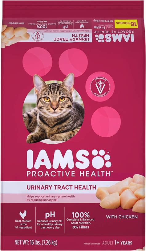 Top 10 Iams Dental Care Cat Food Home Previews