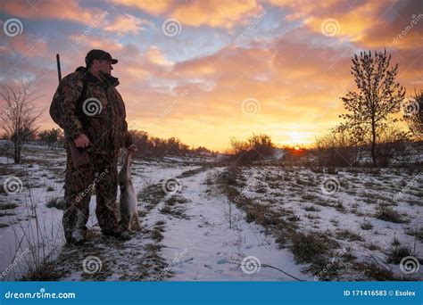 Winter Hunting For Hares At Sunrise Hunter Moving With Shotgun And