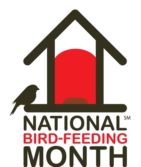 National Bird Feeding Month Bauers Market And Garden Center