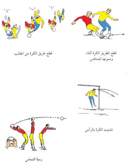 Check spelling or type a new query. التربية الرياضية: المراحل الفنية والخطوات التعليمية لمهارة ...