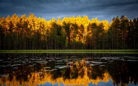 Download Wallpaper 3840x2400 Trees Lake Autumn Reflections 4k Ultra