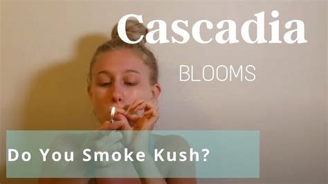 do you smoke kush learn about my favorite nighttime strain youtube