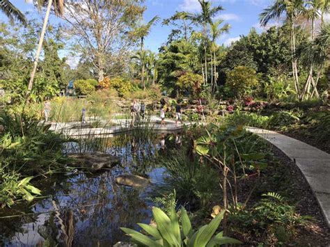 There are also spring gardens, including a colonial herb garden, and an enchanted forest where you can stroll through. Mounts Botanical Garden: Art from debris in lovely garden