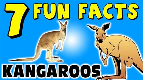Enjoy our wide range of fun animal facts for kids. 7 FUN FACTS ABOUT KANGAROOS! FACTS FOR KIDS! Australia ...