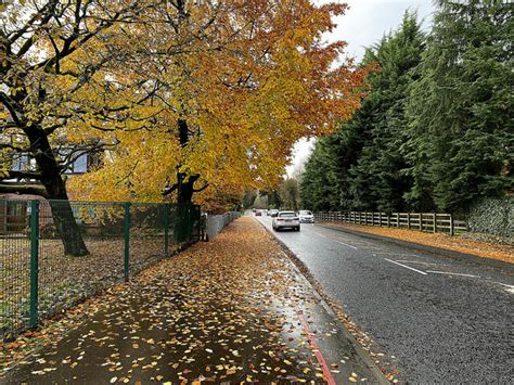 Fallen Leaves Along Old Mountfield Road © Kenneth Allen Geograph
