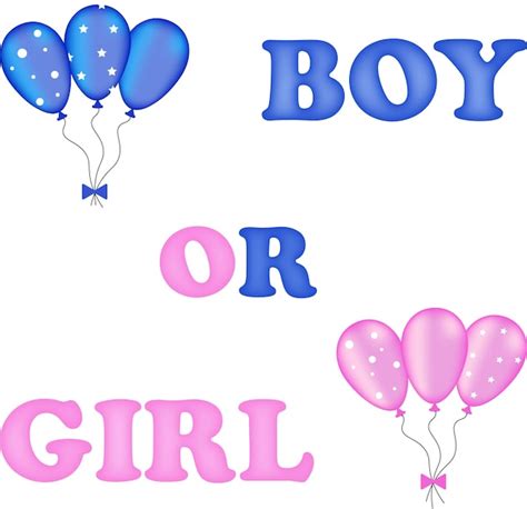 Premium Vector Boy Or Girl Gender Reveal Party