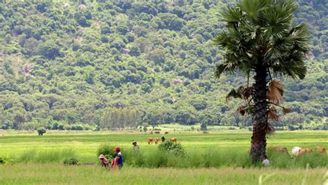 Hành trình du lịch hà giang không chỉ đến nơi thiên nhiên hùng vỹ mà còn là trải nghiệm một vùng đất của văn hóa các dân tộc cũng như lịch sử cách mạng hào hùng của đất nước. Tư vấn du lịch An Giang | Dulich24