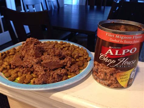 One benefit to dry food. ALPO® Wet Dog Food Is An All-Time Favorite For Jack And ...