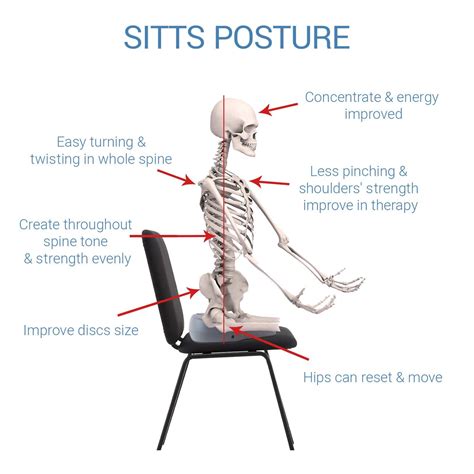 Sitts Posture Cushion Back Pain Relief By Improving Posture