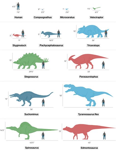 Jurassic World 2 Dinosaurs Compared To Humans Business