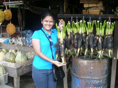 Dan dipagi yang cerah ini juga saya akan memberikan cara membuat obat perangsang wanita dari bahan yang mudah ditemukan dan yang mencegah lebih baik daripada telanjur kejadian. MY ALL: jagung bakar dan lokan panggang....