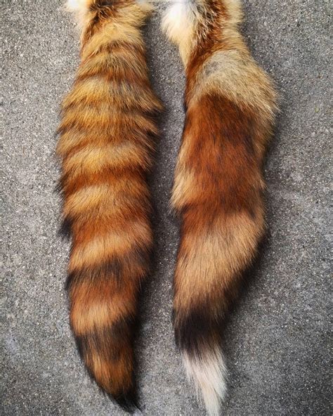 red fox tails by kazscreations on deviantart