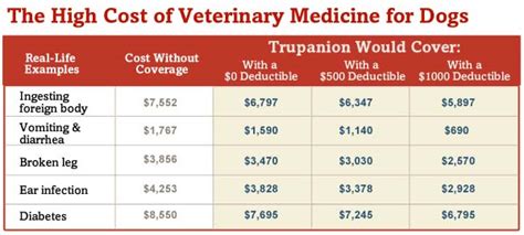 How Much Does A Dog Cost Budgeting Guide For Dog Owners