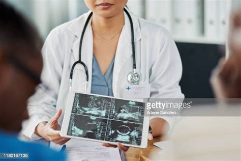 Fetus Stages Fotografías E Imágenes De Stock Getty Images