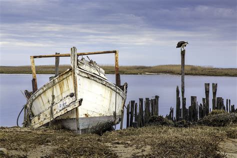 Unincorporated community in kent county, delaware. Old Boat and Osprey | Port Mahon, Delaware | Kevin B ...