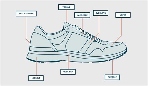 Anatomy Of The Shoe Vlrengbr