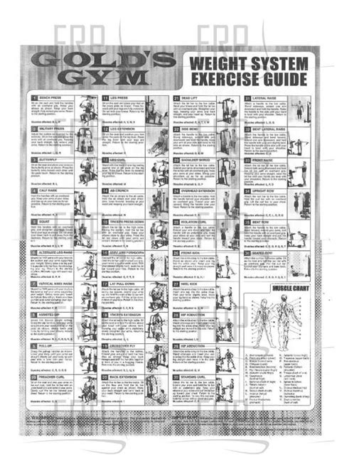 Watch the video explanation about gold's gym cycle trainer 300 ci upright exercise bike online, article, story, explanation, suggestion, youtube. Pin by Kevin Sampson Sr. on Fitness | Gym workouts machines, Workout chart, Home gym exercises