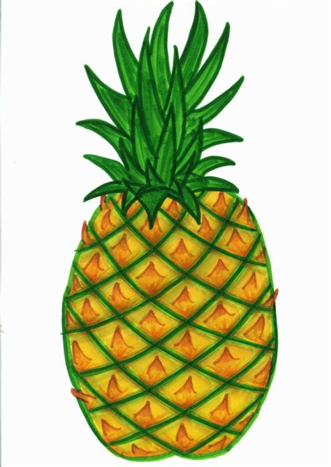Download High Quality Pineapple Clip Art Cut Out Transparent Png Images
