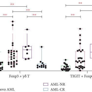 Expression of Foxp3 and TIGIT Foxp3 γδ T cells from AML patients and