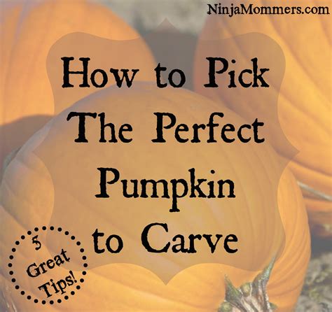 How To Pick The Perfect Pumpkin For Carving