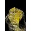 Anglesite  DEN14 1420 Touissit Mine Morocco Mineral Specimen
